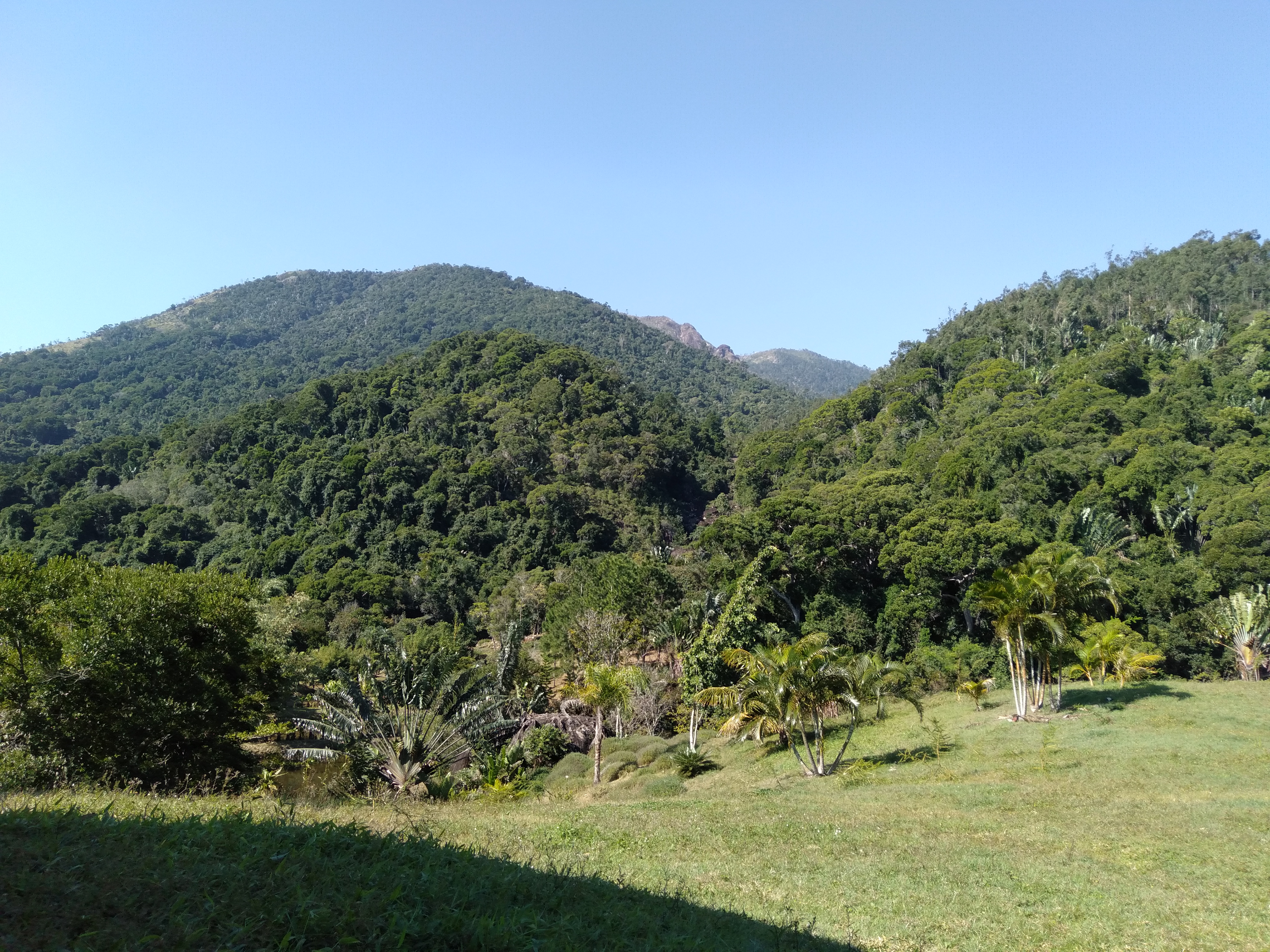 Domaine de la cascade - Forêt littorale humide protégée dans la région Anosy, Madagascar