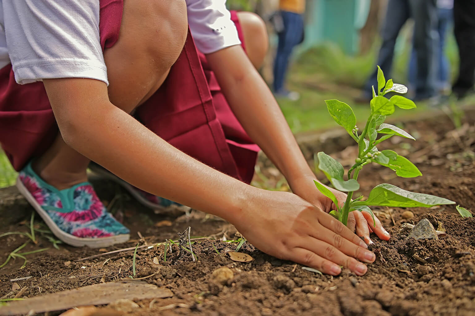 Atelier d'éducation environnementale avec des enfants - Sensibilisation au développement durable à Madagascar