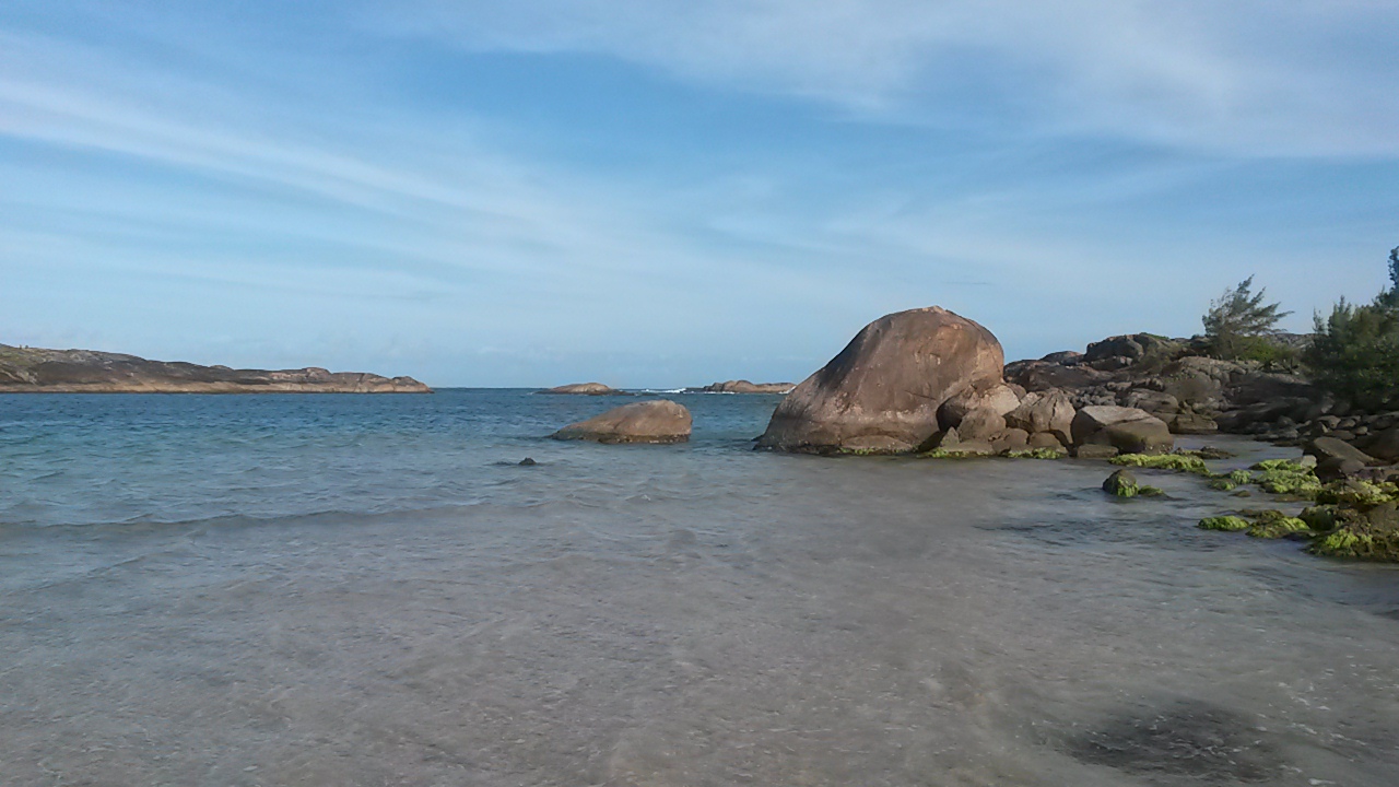 Mangroves luxuriantes de la Baie de Lokaro à Fort-Dauphin, Madagascar
